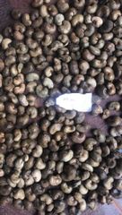 Raw cashew nuts (RCN) – product photo 3, product detail gallery
