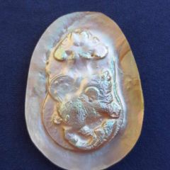 Company – thumbnail 16 of 129, supplier detail gallery