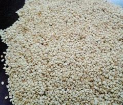 Pakistan White seasme A+grade Any packing buyers requirement – product photo 1, product detail gallery
