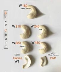 Processed cashew nuts - Image 3