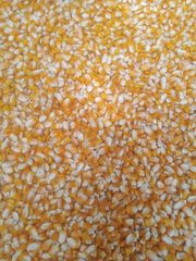 Company – thumbnail 2 of 8, supplier detail gallery