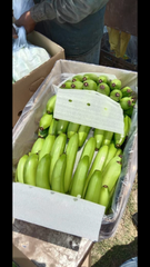 Fresh Bananas  - Image 1