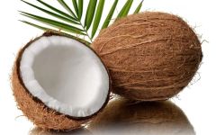 Fresh Indian Coconut for Export | Bulk 40-Foot Container Supply - Image 2