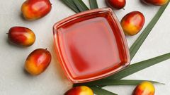AUSKO ORGANICS Brand Crude Palm oil Large scale production  - Image 3