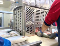 Turkish Salmon – product photo 2, product detail gallery