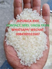 Jasmine Rice / Long Grain RiceFragrant 5% Broken - Perfurm Rice -riz- Arroz White Rice WHATSAP 0084 989 322 607 – product photo 3, product detail gallery