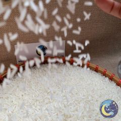 High Quality Thai Premium Jasmine White Vietnamese Rice Long Grain 5% Broken Perfume Manufacturer Direct 100% Export Cheap Price - Image 6