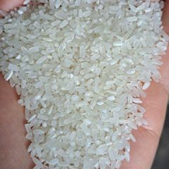Premium 100% Broken Fragrant Vietnamese rice Organic Rice Certified ...