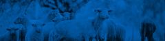 Product thumbnail 7