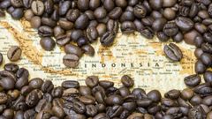 Coffee Beans & Coffee – product photo 1, product detail gallery