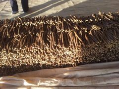 licorice root Packaging box Type dried root Weight (kg) 25 kg - Image 2