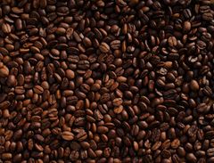 Decaffeinated Coffee Beans (Swiss Water Process) - Image 1