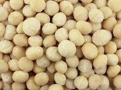Macadamia Nuts Whole - 11.34kg Bulk - Image 1