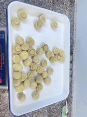 Canned Mushroom with High Quality - Image 4