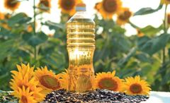 Sunflower Oil – product photo 2, product detail gallery