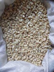 Maize Corn 90 kgs/sack Packaging Sun drying Competitive Price – product photo 3, product detail gallery