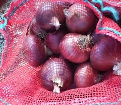 Onions (Red, Yellow) – product photo 1, product detail gallery