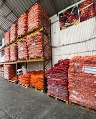 Wholesale Red and Yellow Onions Available In Stock - Image 4