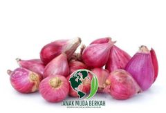 Premium Red Onions from Indonesia – Fresh, Flavorful & Ready to Ship – product photo 4, product detail gallery