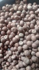 Betel Nuts – product photo 2, product detail gallery