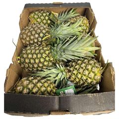 Fresh Golden Pineapple - Image 1