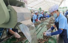 Company – thumbnail 6 of 20, supplier detail gallery