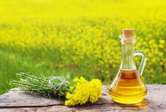 Refined Rapeseed Oil - Image 1