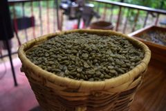 Robusta – product photo 1, product detail gallery