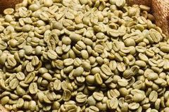 Premium Tanzanian Robusta Coffee Beans – Screen 14–18 | 100 MT Available - Image 2