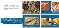 Premium Grains and Oilseeds  Gmo Status Available As Gmo And Non-gmo Grain Type Soybeans, Corn, Wheat, Oats, Red And White - Image 1