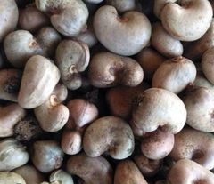 Premium Raw Cashew Nuts - Image 1