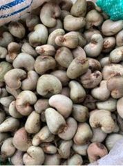 Premium Raw Cashew Nuts - Image 2
