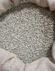 Arabica – product photo 2, product detail gallery