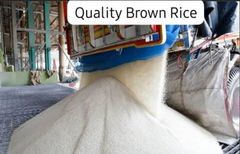 Rice - Image 3