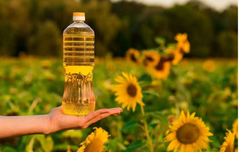 Refined Sunflower Oil  - Image 3