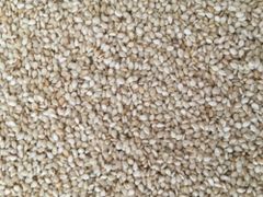 Sesame – product photo 1, product detail gallery