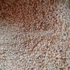 White Sesame Seed  - Image 2