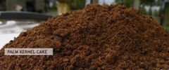 Ausko Palm Kernel Cake Large scale production ORGANICALLY PROCESSED  – product photo 1, product detail gallery