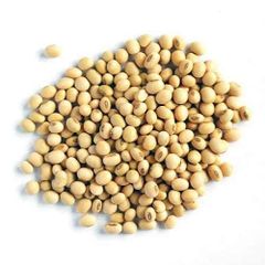 Soybean Grade A Place of Origin Brazil and - Image 2