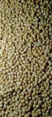 Non-GMO Soybean - Image 1