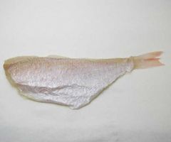 Sea bream fillet - Image 1