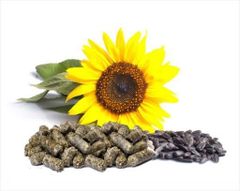 Rich Sunflower Cake  - Image 1