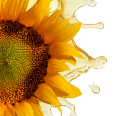 Refined Sunflower Oil – product photo 1, product detail gallery