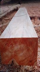 Company – thumbnail 11 of 12, supplier detail gallery