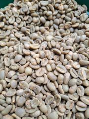 ARABICA SUMATRA WILD CIVET 100% TRUSTED SPECIALTY COFFEE - Image 2