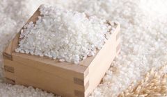 Best Seller! Jasmine Rice/Delicious Broken Rice Made In Vietnam 5%,15%,25%,100% High Quality Broken White Rice Vietnam Wholesale – product photo 2, product detail gallery