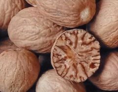 Nutmeg without Shell Color Red Form Seed Grade ABCD Size 2-3 Cm Origin Indonesia Packaging Gunny Bag 50 kg Max. Moisture (%) 10 % max - Image 1
