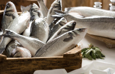 Sea Bass Brand Name Kefish Shelf Life 14 Days Packaging food - Image 1