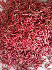 RED CHILLI Color RED Type TEJA Packaging - Image 1