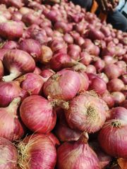 ONION - Image 2